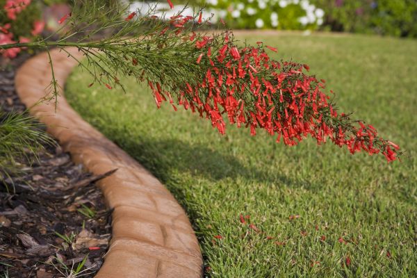 Brick Edging in Virginia Beach
